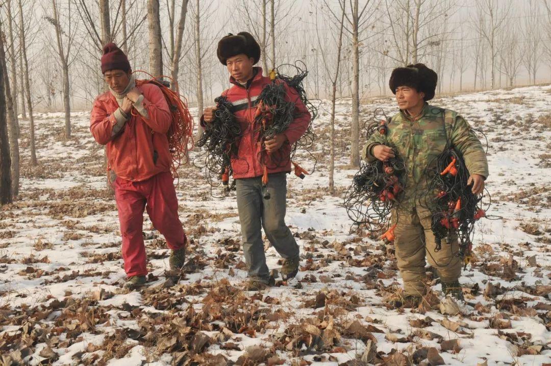 地质数字技术：地震勘探处理如何实现高效精准与成本优化