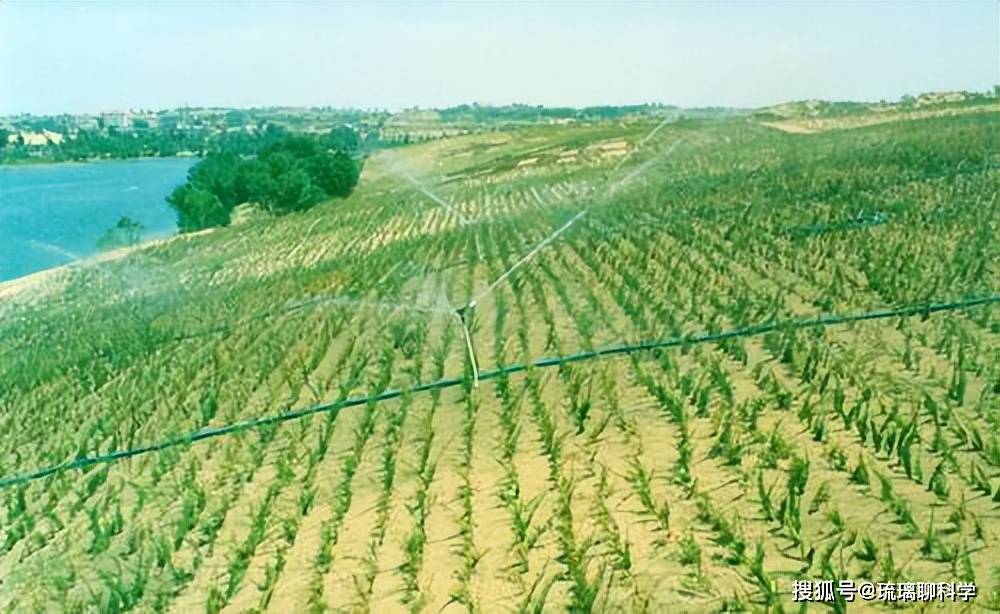 低碳技术：地表植被恢复 - 让大地重披绿装，轻松应对气候变化
