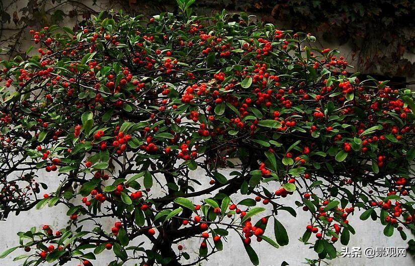 矿山知识库：保水水循环系统如何实现水资源高效管理与生态保护