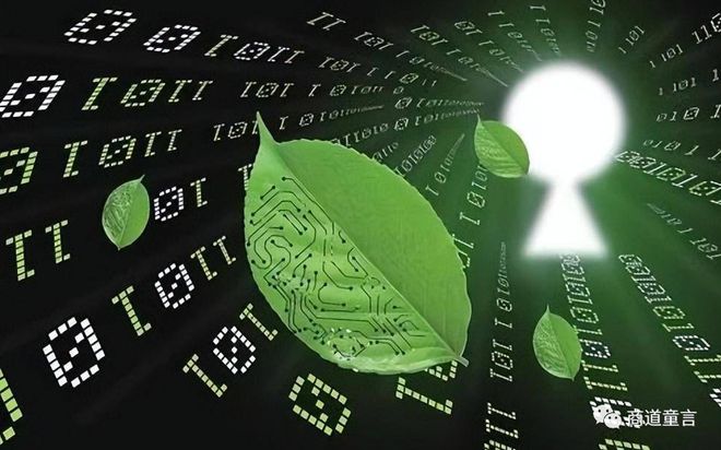 数字化技术：数字包装如何让商品会说话、会跳舞，还能帮你轻松解决环保难题