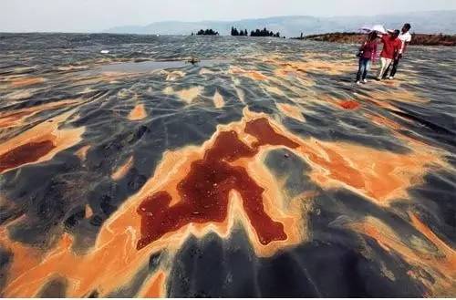 矿山知识库：保水土壤改良 - 快速恢复矿区生机，告别干涸与污染