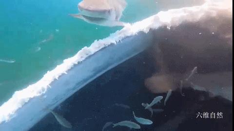 低碳技术：瓦斯监测如何精准管控甲烷排放，助力企业实现安全高效与碳减排双赢